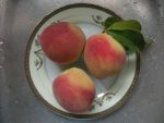 Peaches China Steel