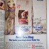 Purina-Sea-Dog-food-cat-ad-web